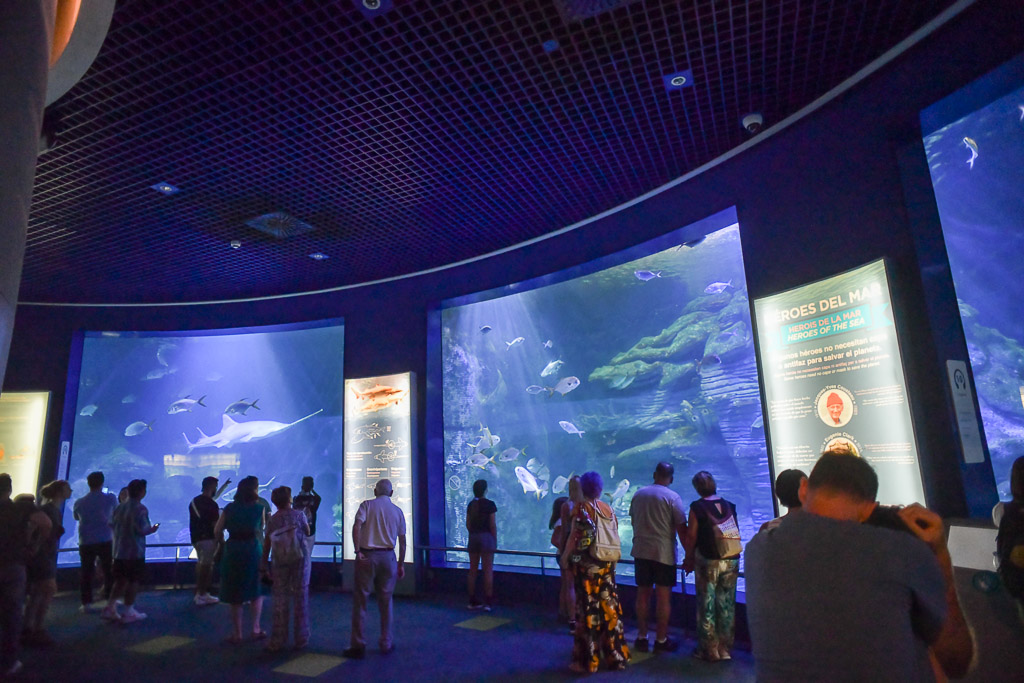 Besucher vor einem großen Aquarium