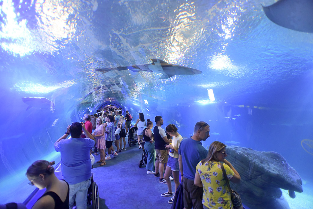 Unterwassertunnel mit Besuchern