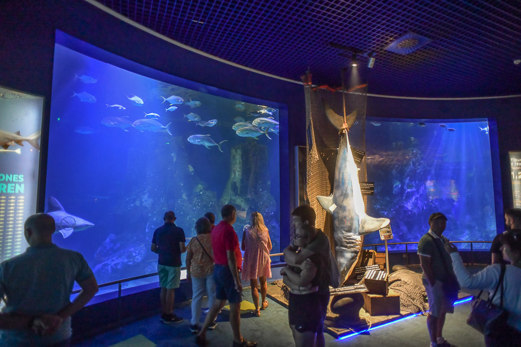 Aquarium mit Besuchern und einem Skelett