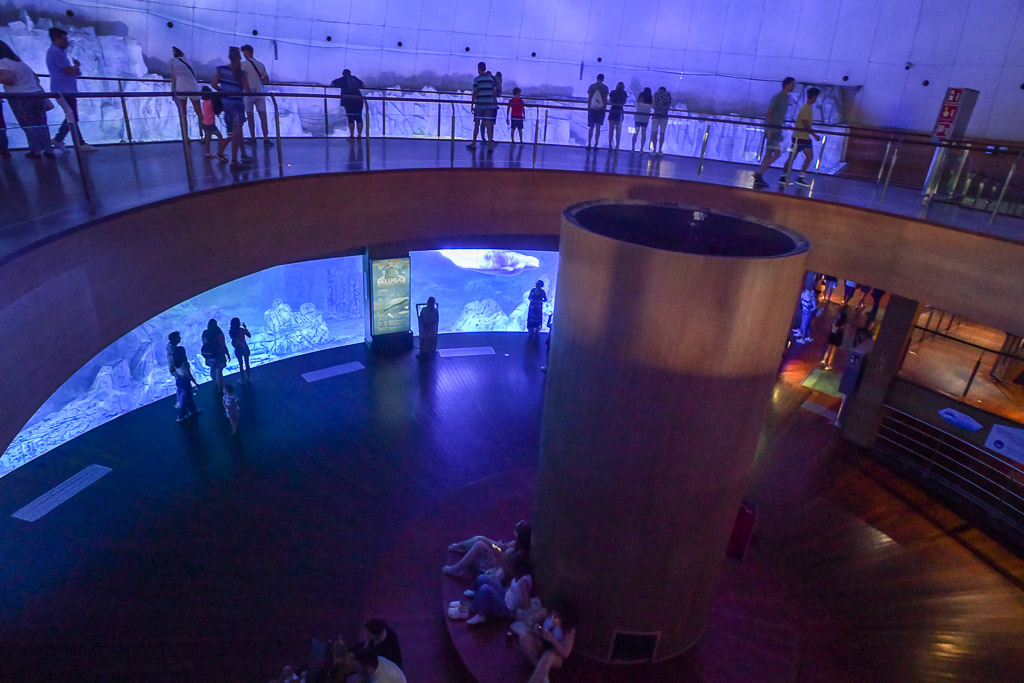 Rundgang im Aquarium mit Blick auf das Becken