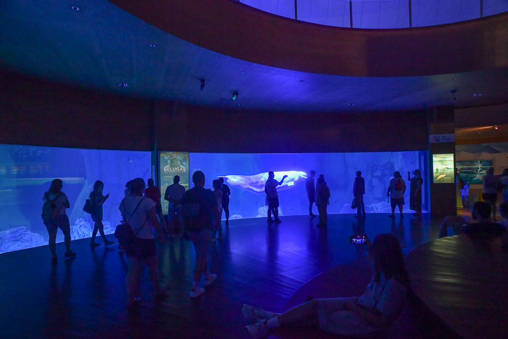 Dunkler Saal mit Aquarium