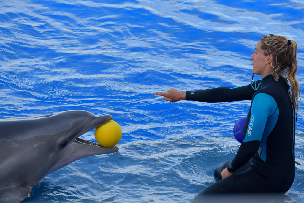 Trainerin mit Delfin und Ball