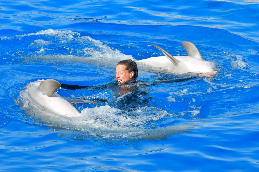 Trainerin schwimmt mit einem Delfin