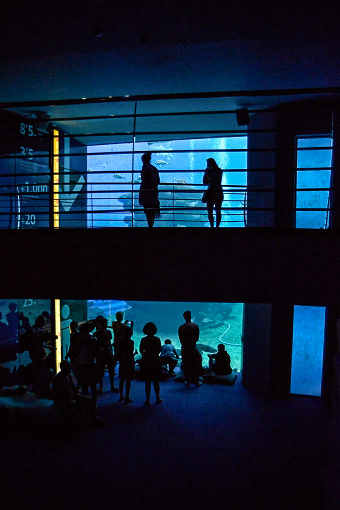 Besucher als Silhouetten vor einem Becken