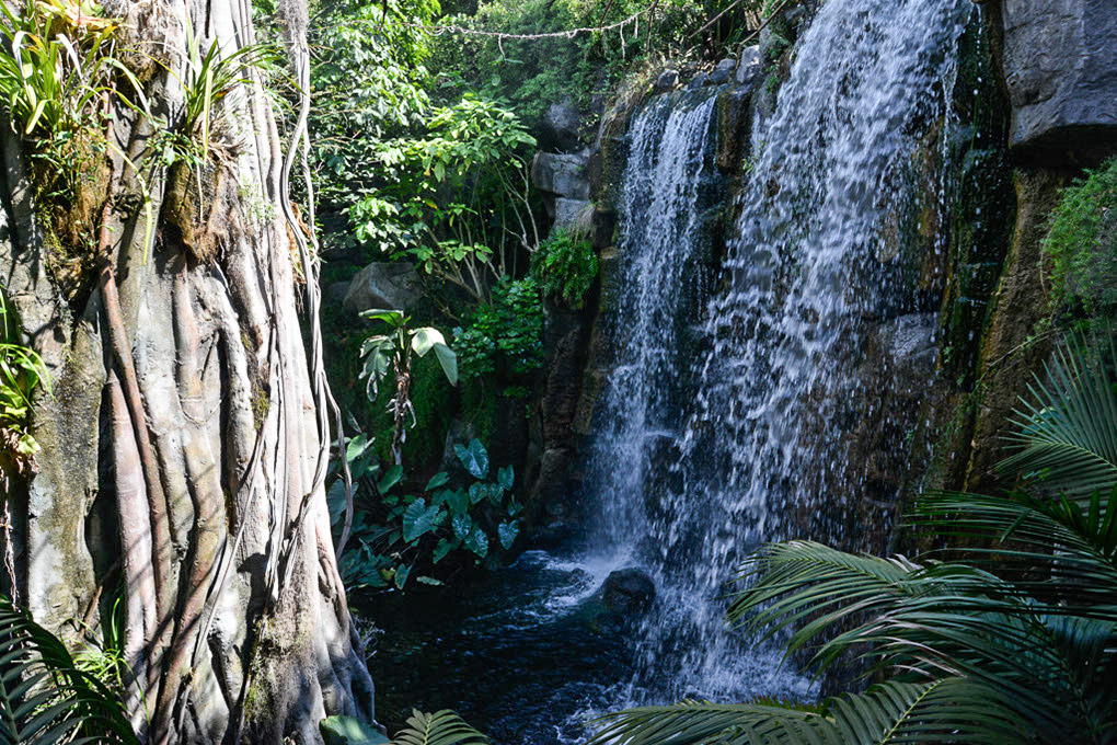 Wasserfall im Dschungelbereich