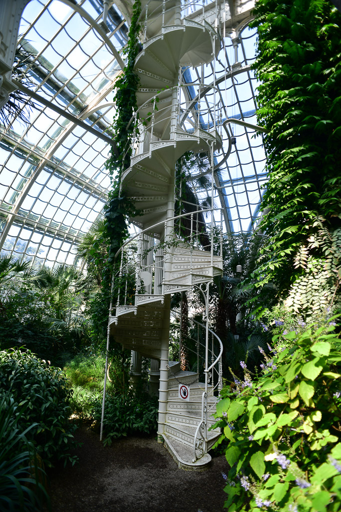 Wendeltreppe und Pflanzen im Hochformat