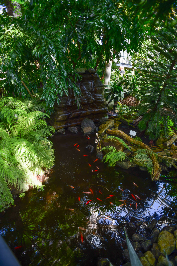 Teich im Palmenhaus im Hochformat