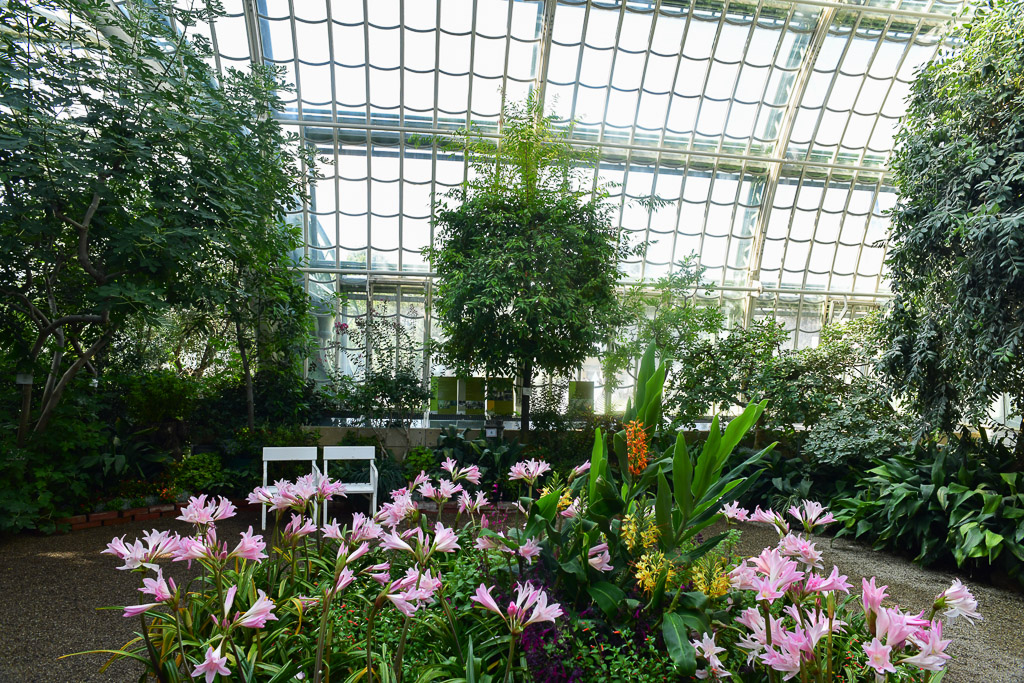 Blumenbeet im Palmenhaus