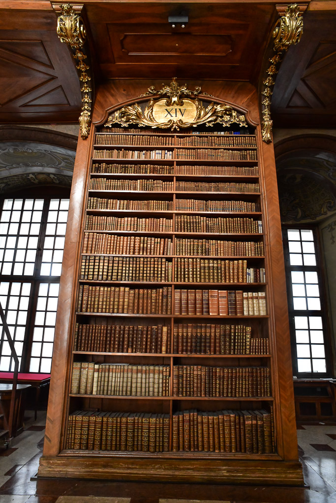 Hohes Bücherregal mit Leiter im Hochformat
