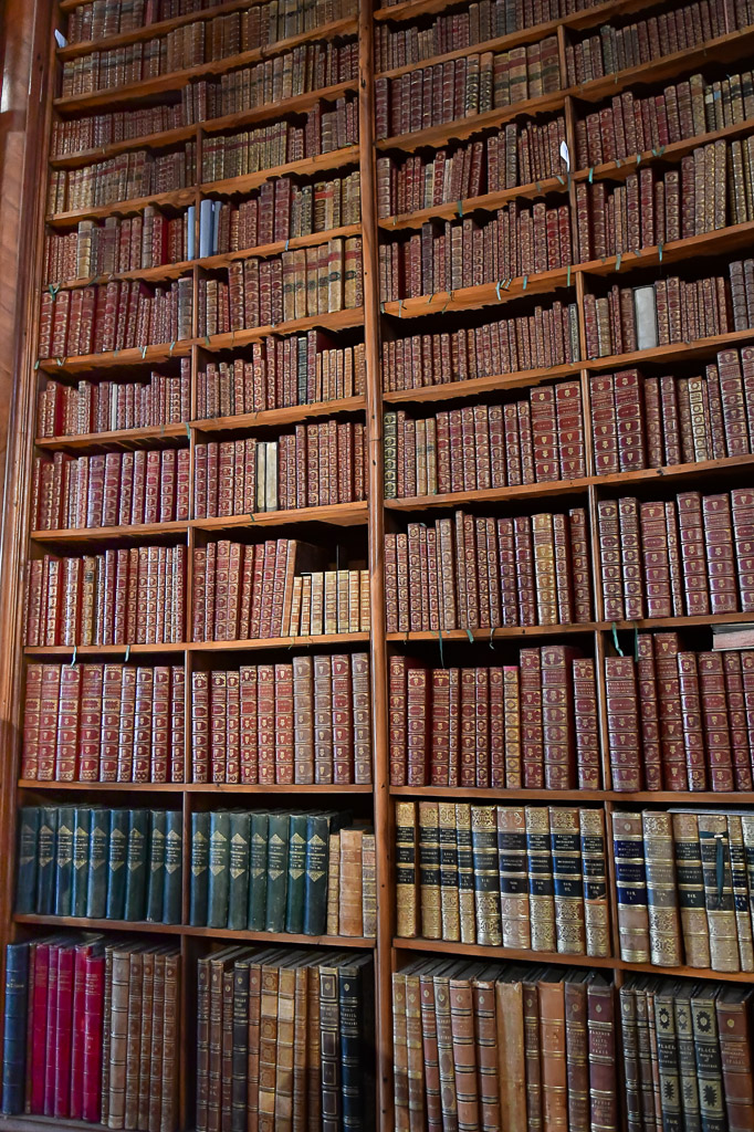 Bücherregal mit alten Bänden im Hochformat