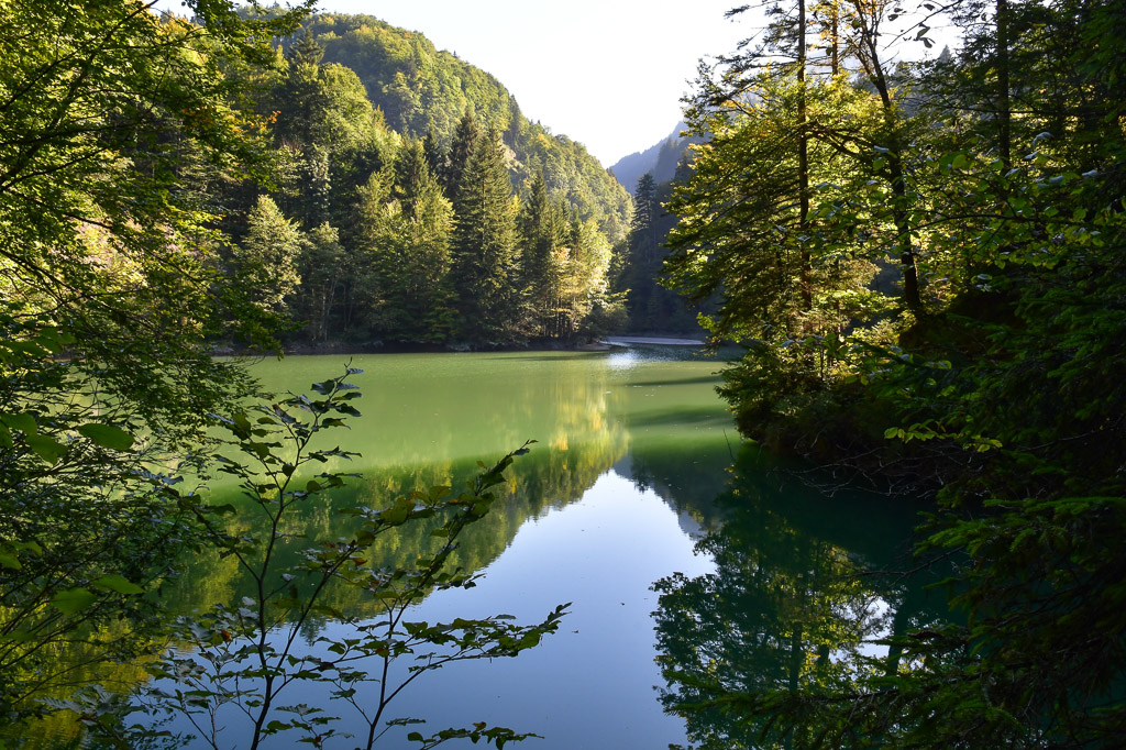 Stausee mit grünen Ufern