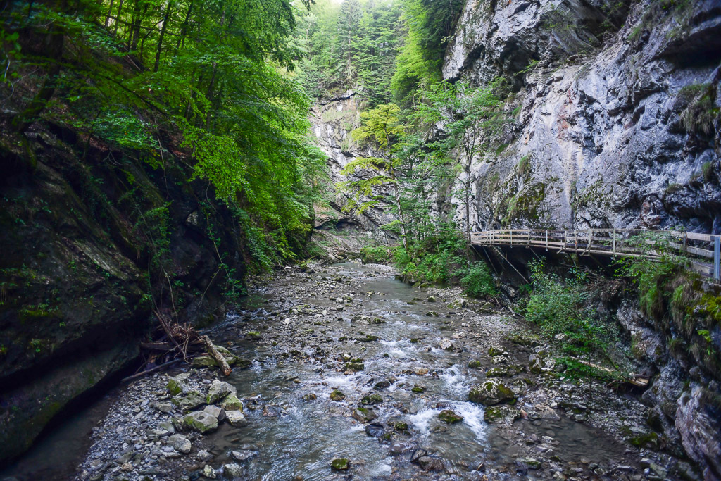 Felswände und Bach in der Schlucht