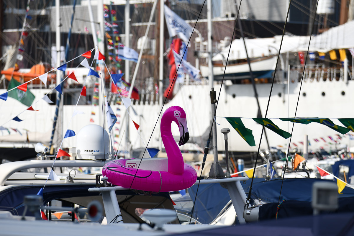 Segelboote mit Schwimmtier im Hafen