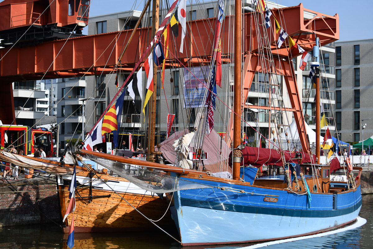 Segelschiffe im Hafen