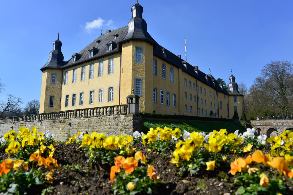 Schloss mit Stiefmütterchen