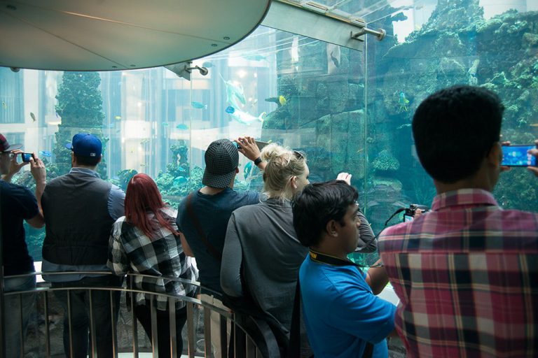 Besucher vor dem AquaDom