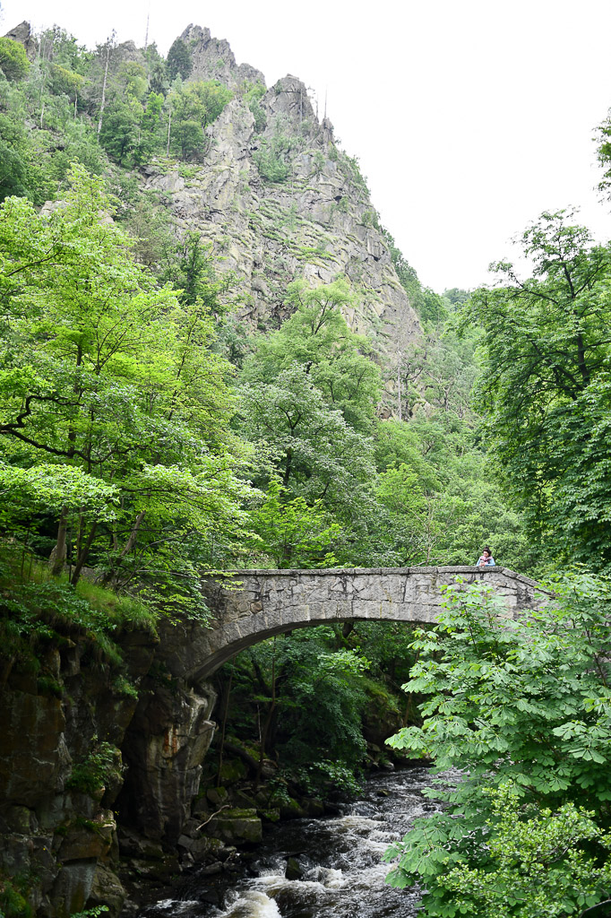 Felsen im Bodetal im Hochformat