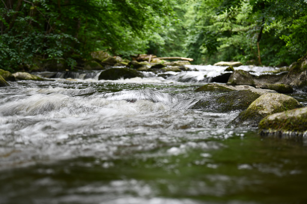 Fluss Bode