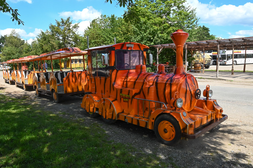 Safaribahn in Orange