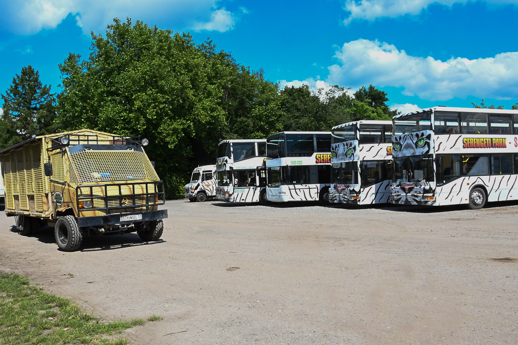 Busse auf dem Parkplatz