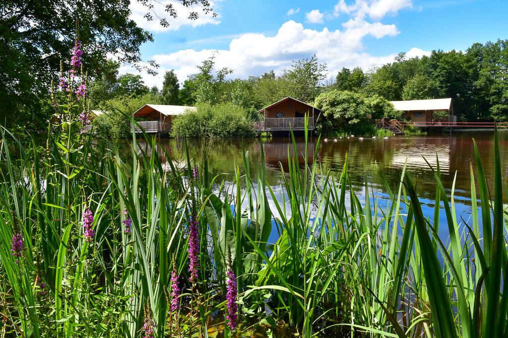 Teich mit Holzhäusern