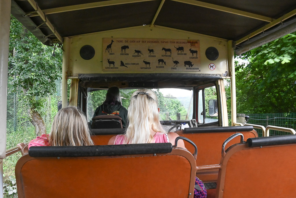 Blick aus dem Safaribus