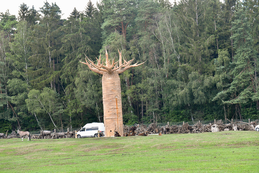 Baumskulptur