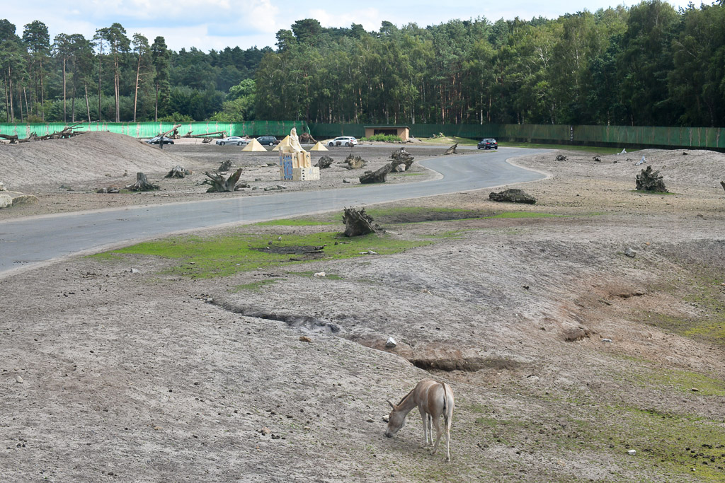 Landschaft im Safaripark