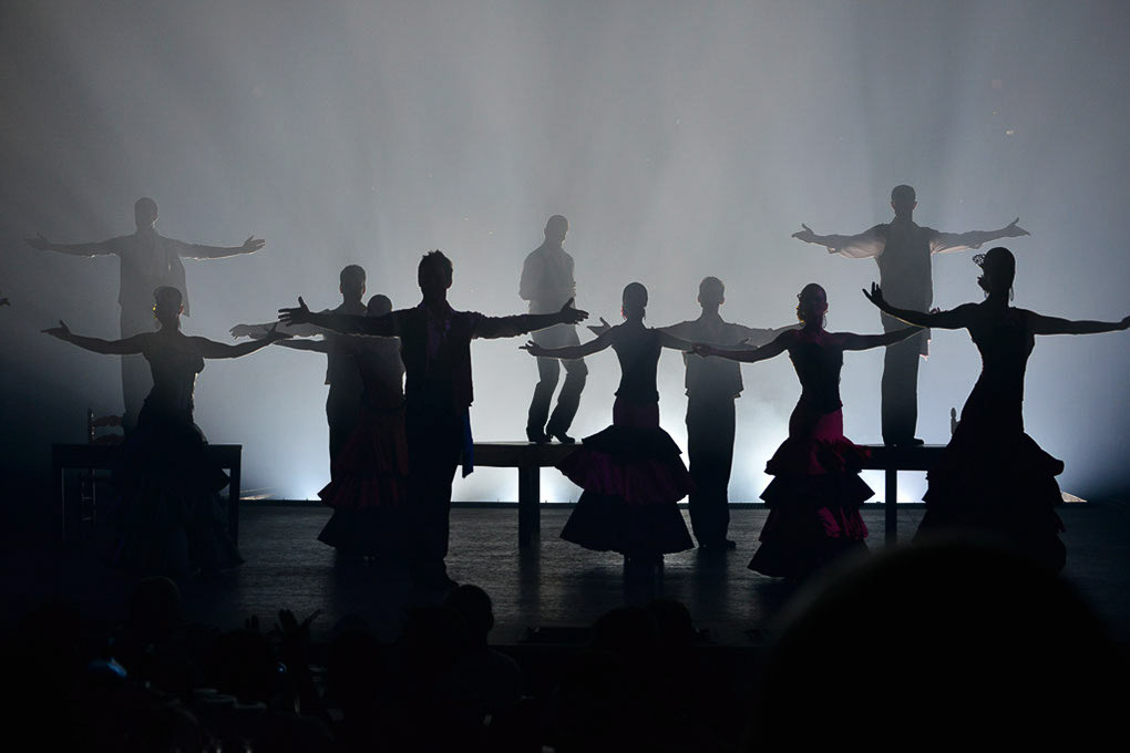 Silhouetten eines Ensembles im Nebel