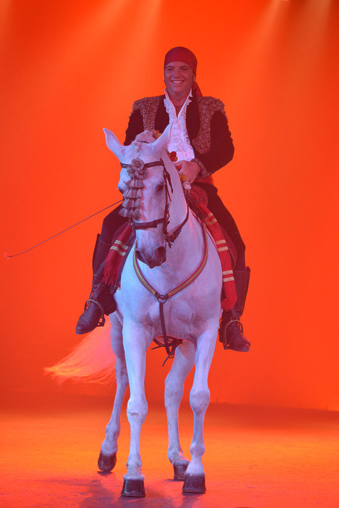 Reiter auf einem weißen Pferd im orangenen Licht im Hochformat