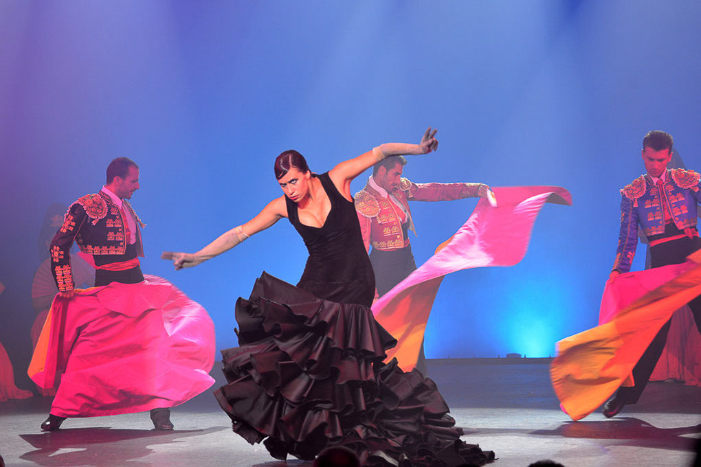 Flamenco in Schwarz und Rosa