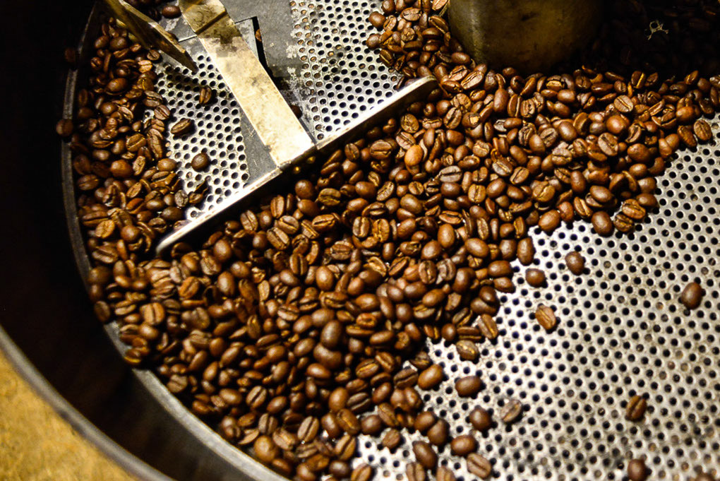 Geröstete Kaffeebohnen in der Rösttrommel