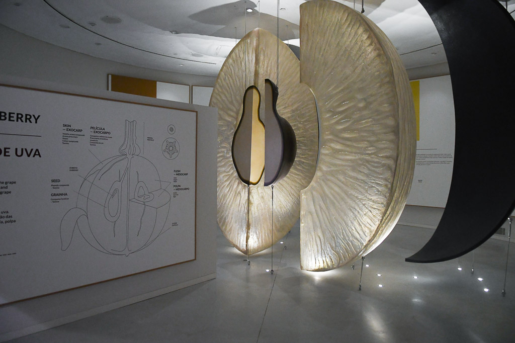 Aufgeschnittene Skulptur in der Ausstellung