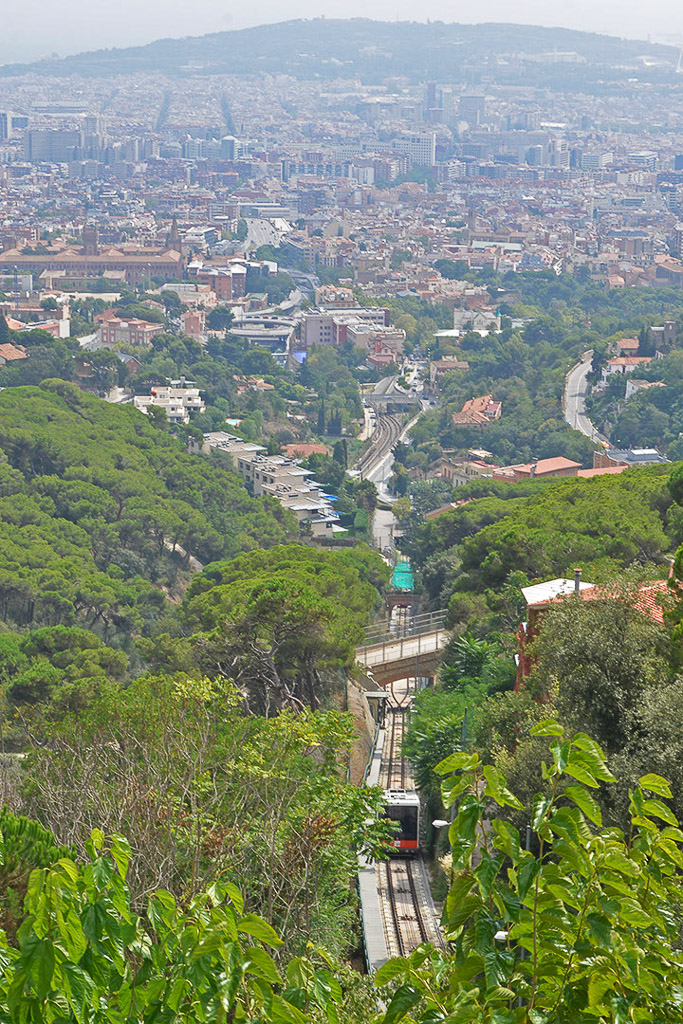 Blick über bewaldete Hänge auf die Stadt im Hochformat