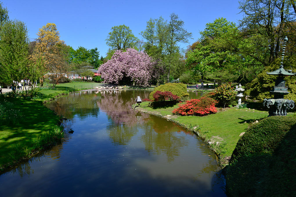 Japanischer Garten