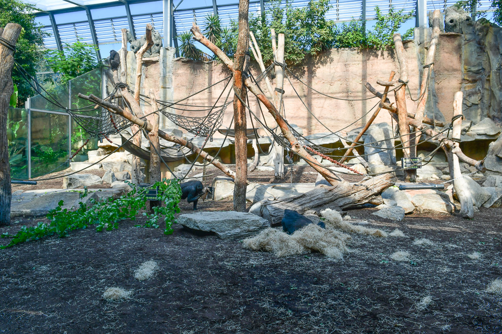 Leere Freianlage mit Kletterholz