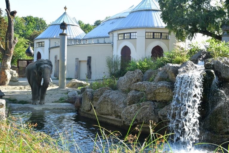 Elefantenhaus mit Wasserfall