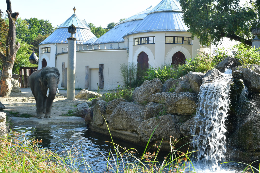 Elefantenhaus mit Wasserfall