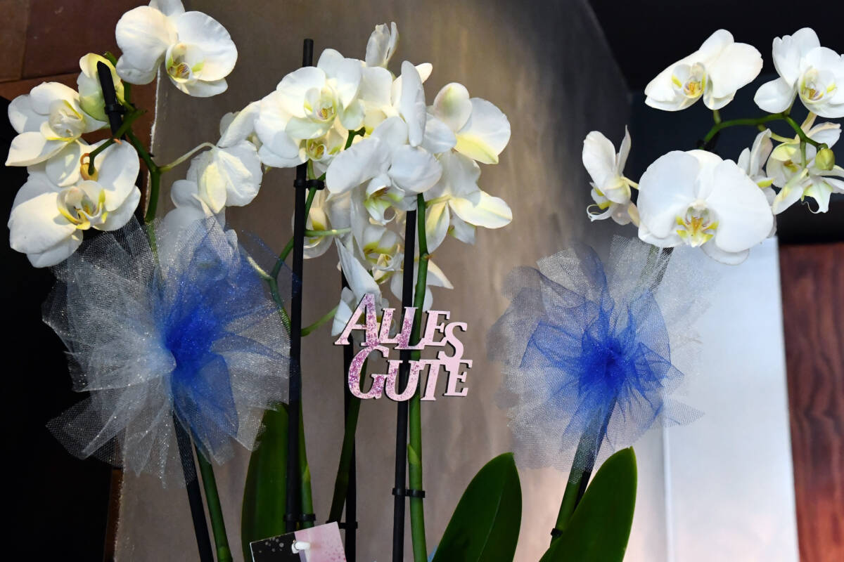 Orchideen mit Glückwunsch zur Eröffnung