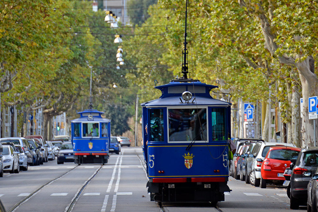 Blaue Straßenbahn in einer Allee