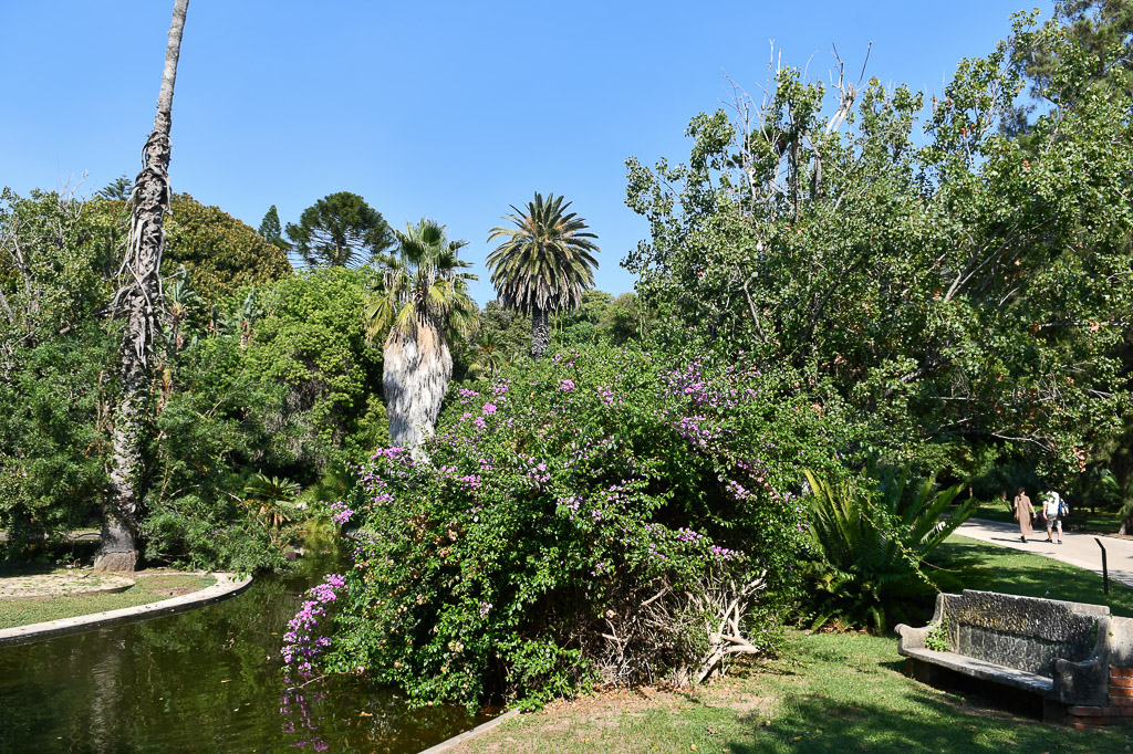 Teich im Garten