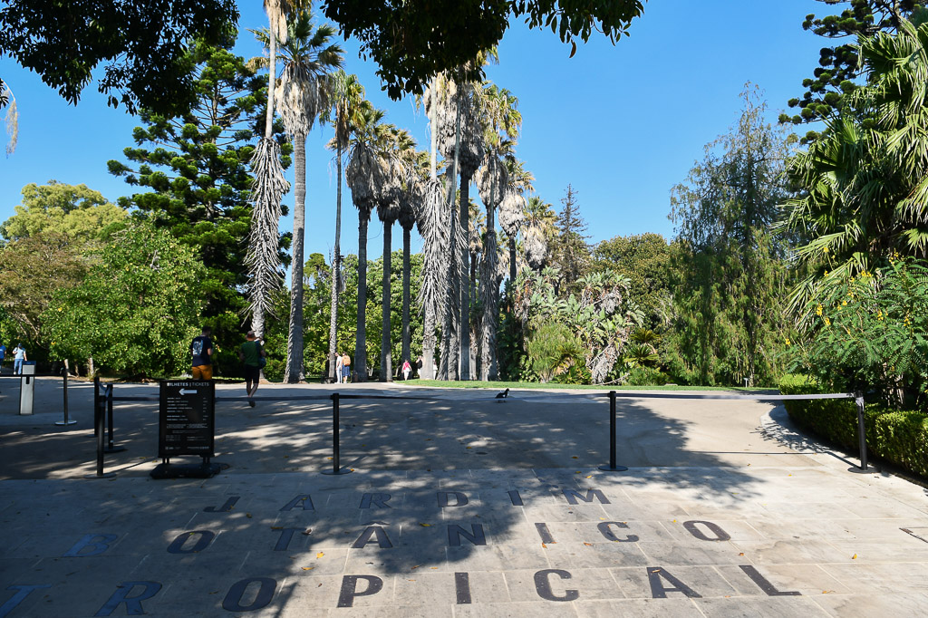 Platz mit Palmen und Schriftzug