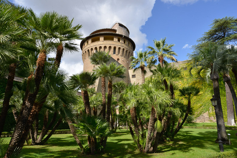 Palmen und Turm im Garten
