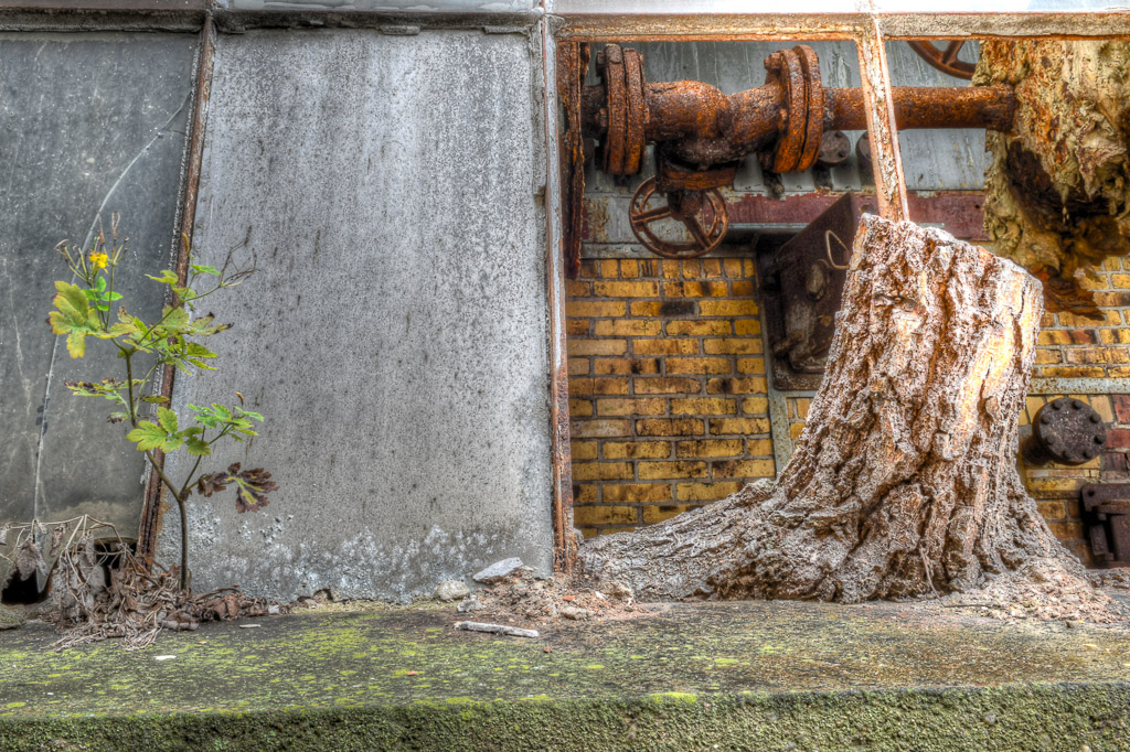 Pflanzen vor einer Hallenwand