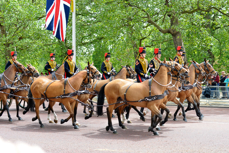 Pferdegespanne bei der Parade