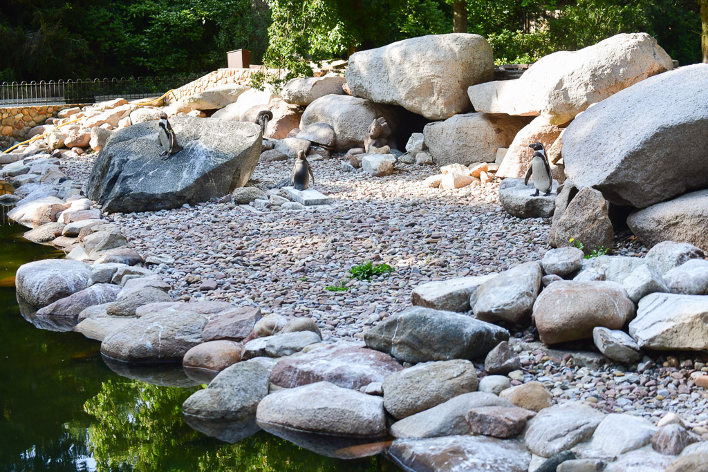 Steine am Teich
