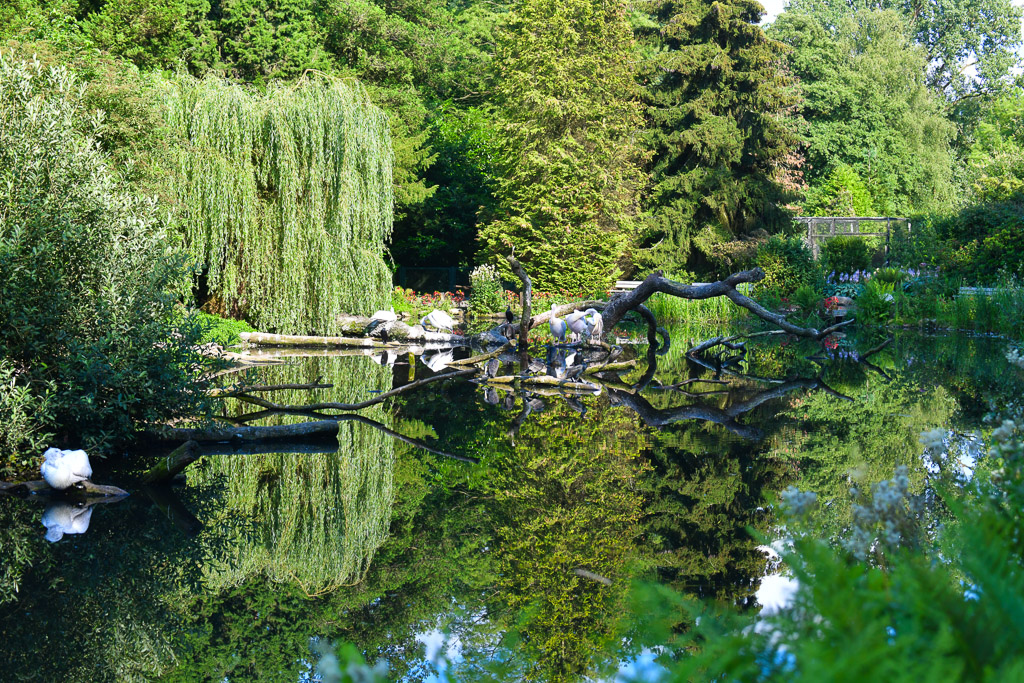 Teich im Park