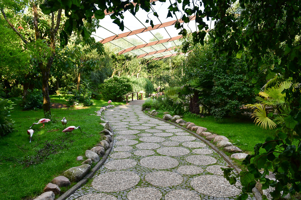 Weg in der Vogelhalle