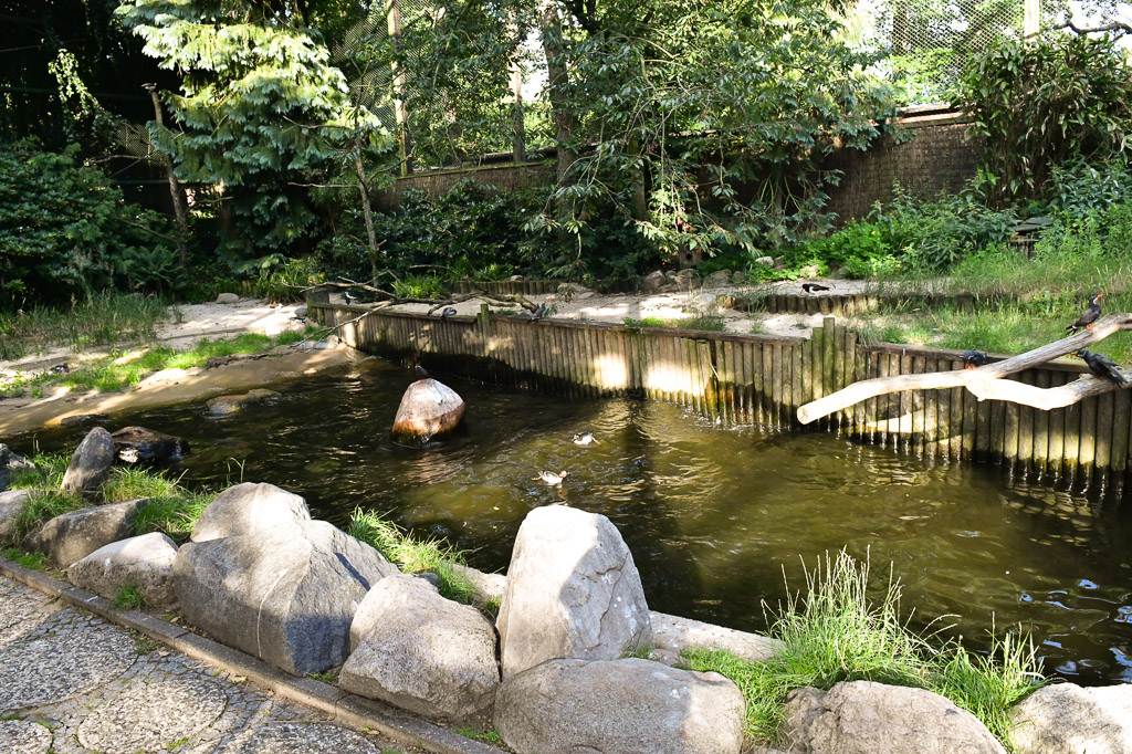 Teich im Park