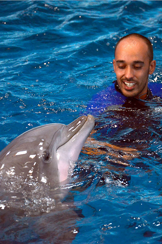 Delfin und Trainer im Wasser